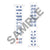 Kapibara - Roll Sign Packing Tape (Joban Line Series 103)